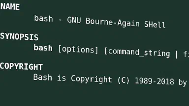 CVE-2019-18276 - SuidBash