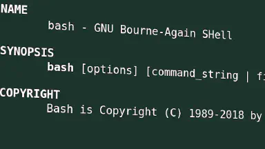 CVE-2019-18276 - SuidBash