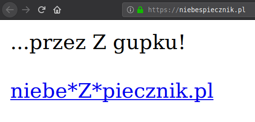 Przykładowy typosquat