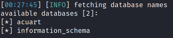 sqlmap dbs