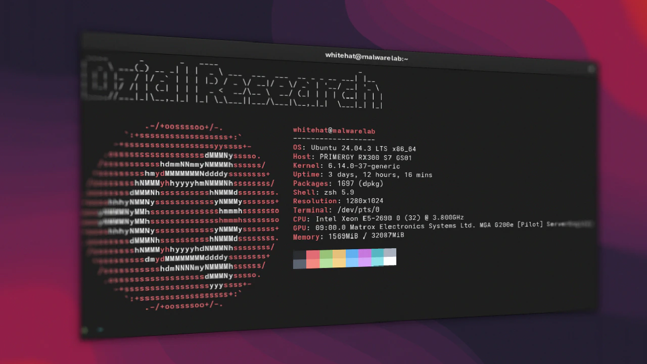 Screenshot z terminala